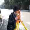 Able Surveyors Limited  avatar