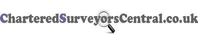 Surveyor Website Logo